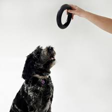 Goughnuts Original Medium Dog Chew Toy Ring for Aggressive Chewers from 30-70 Pounds in Black. Durable Rubber Dog Chew Toy for Medium Breeds and Power Chewers