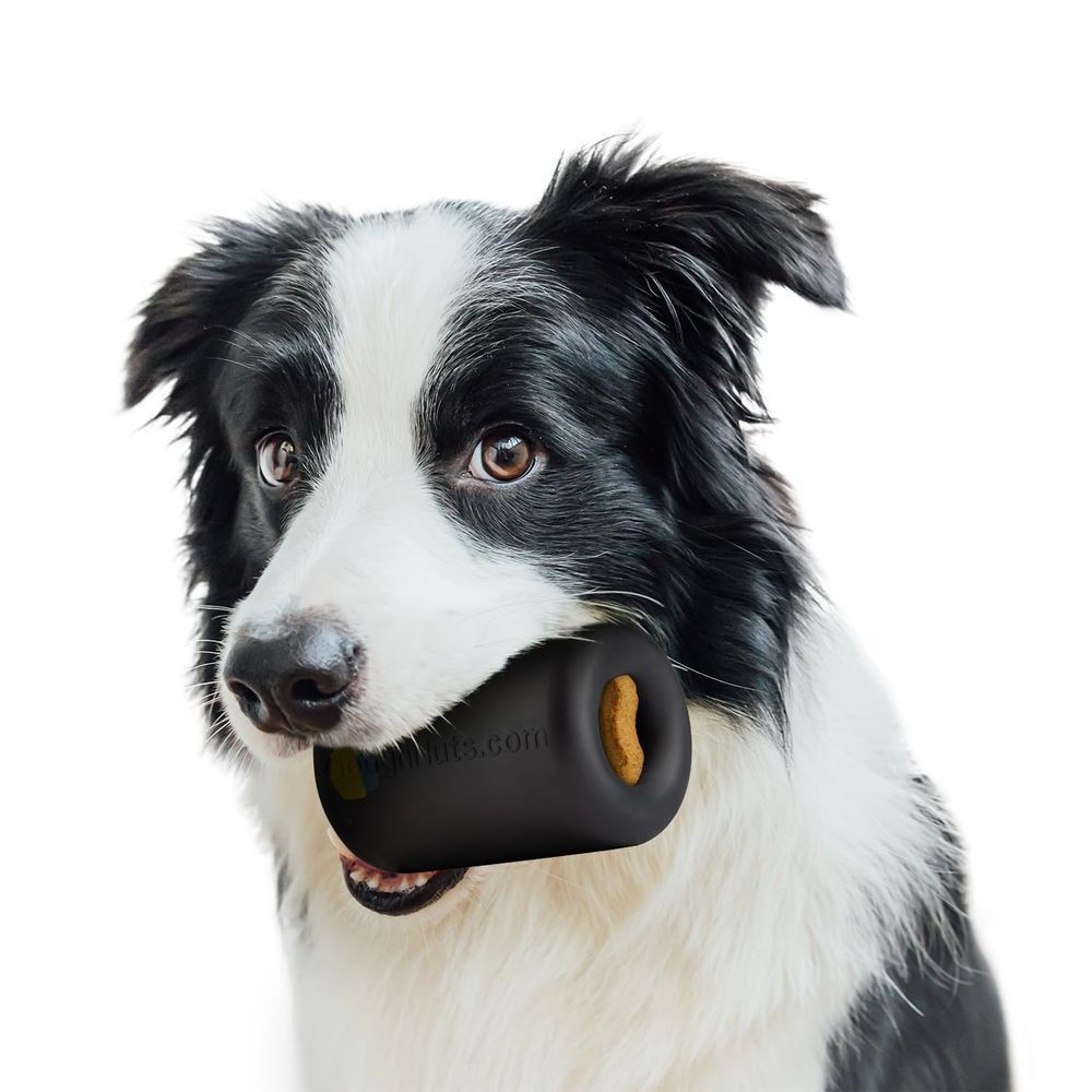 Goughnuts Original Medium Dog Chew Toy Ring for Aggressive Chewers from 30-70 Pounds in Black. Durable Rubber Dog Chew Toy for Medium Breeds and Power Chewers
